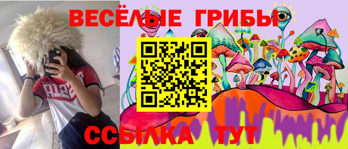 Галлюциногенные грибы GOLDEN TEACHER  даркнет сайт  Псилоцибиновые грибы мицелий  Азнакаево  Вход с VPN 