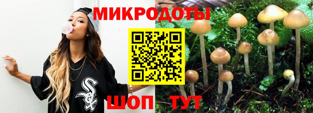 Псилоцибиновые грибы Magic Shrooms Азнакаево
